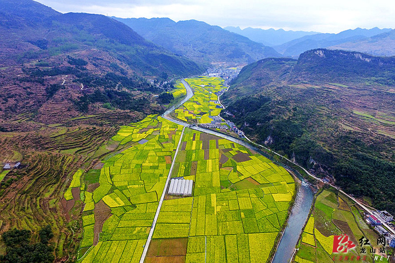 靛房镇人口_龙山县靛房镇风景区
