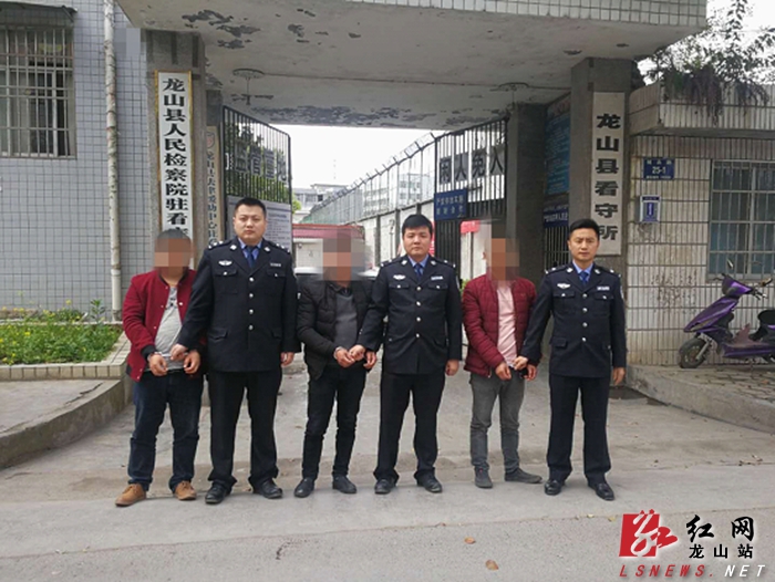 扫黑除恶龙山公安依法处置一起寻衅滋事案