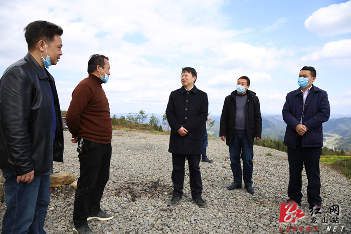 龙山县人民政府
