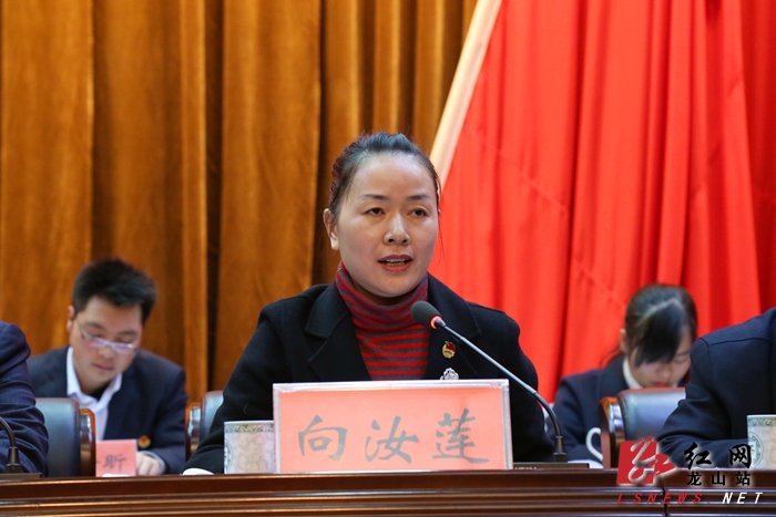 共青团湘西州委书记向汝莲讲话