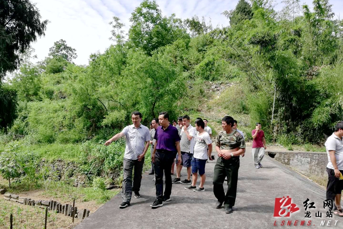 龙山县人民政府-张肇琴到靛房镇指导增减挂钩工作