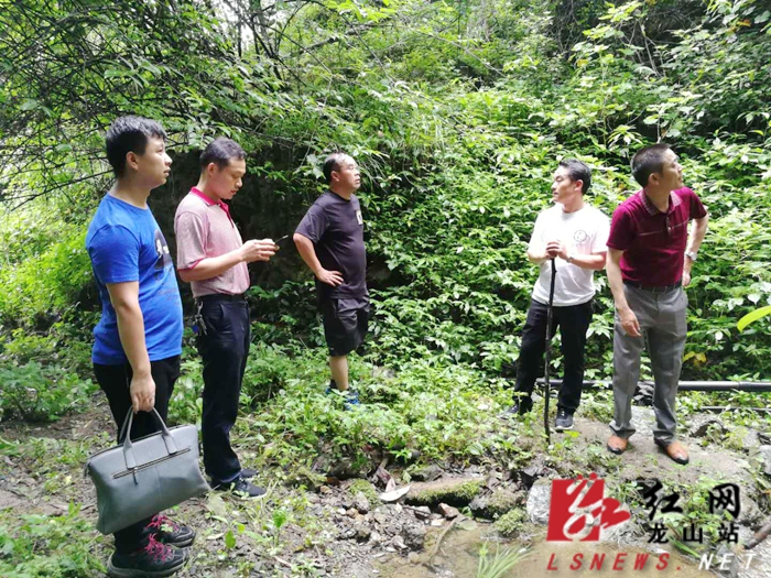 龙山县人民政府门户网站-今日龙山