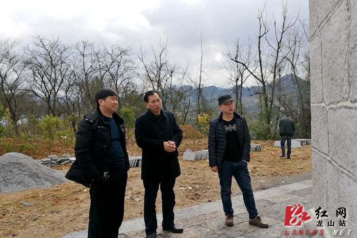 龙山县人民政府-刘昌顺检查指导县文物保护工作