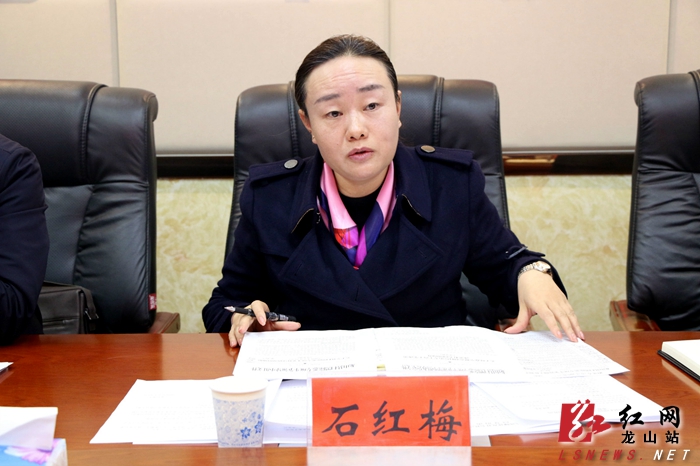 龙山县召开扫黑除恶专项斗争领导小组会议
