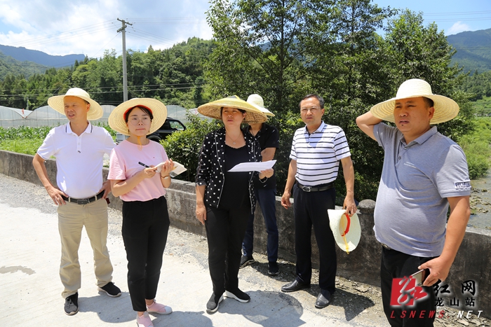政务公开 法定主动公开内容 今日龙山 在茅坪乡干坝村,时荣芬察看了