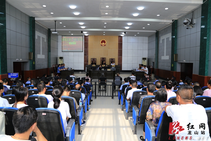 龙山依法公开审理一起涉恶犯罪案件