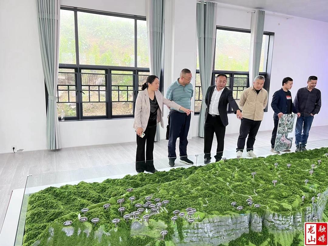 唐晓萍到里耶调研国土空间规划工作