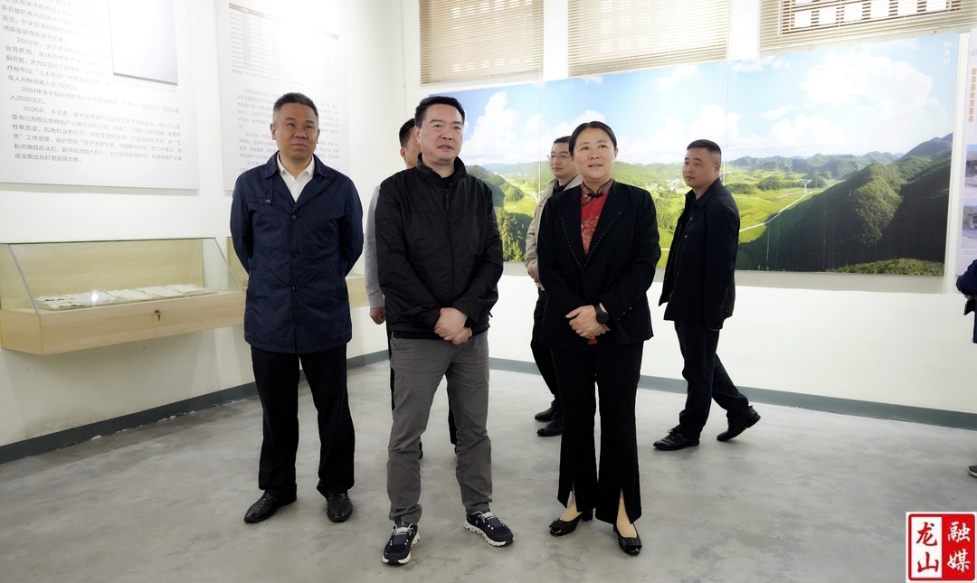 曾雄来龙山县调研乡村振兴工作