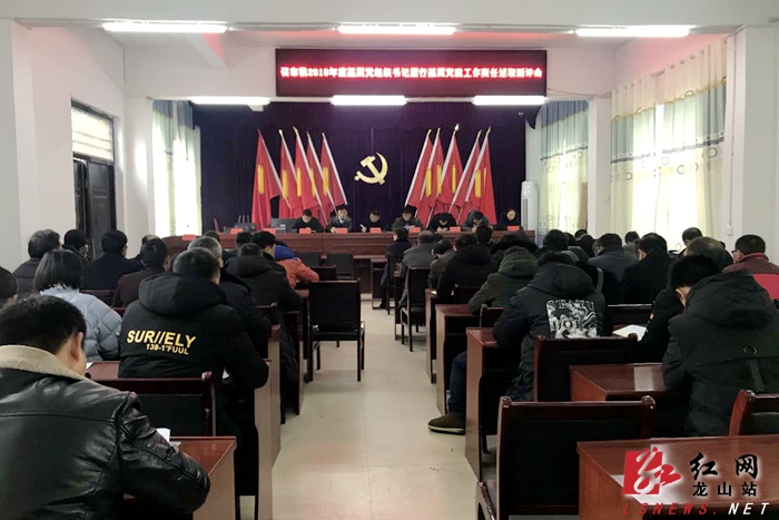 召市镇召开2018年基层党组织书记述职测评会