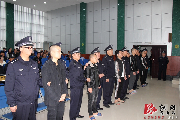 龙山法院集中宣判三起恶势力犯罪案件16被告获刑