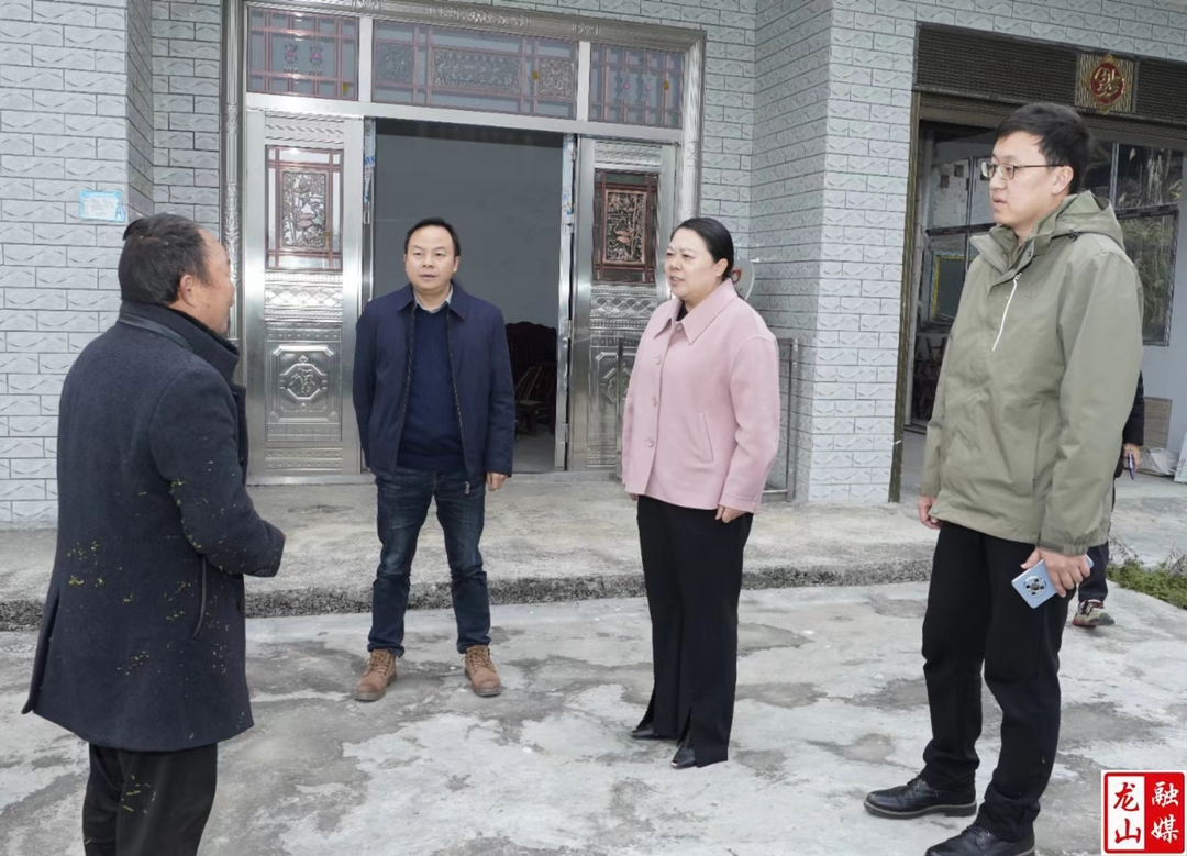 吴凌频到龙山调研督导工作